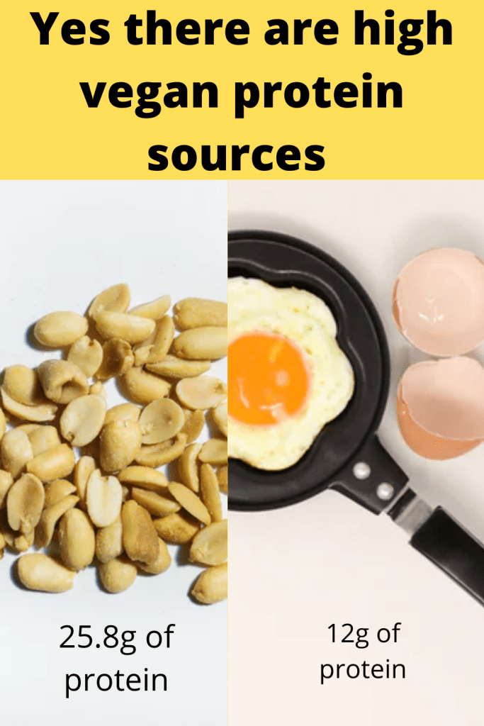 Vgean Protein sources