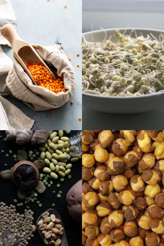 Bunch of vegan protein sources